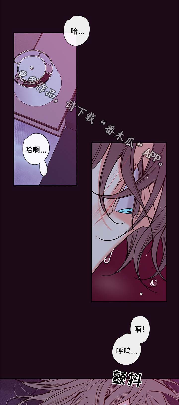 半血马和混血马的区别漫画,第85章：只能和我做5图