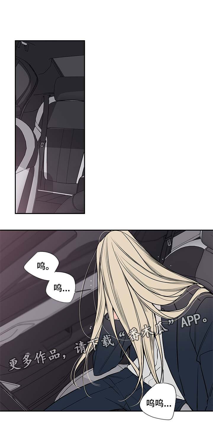 半血族漫画,第78章：尘埃落定1图