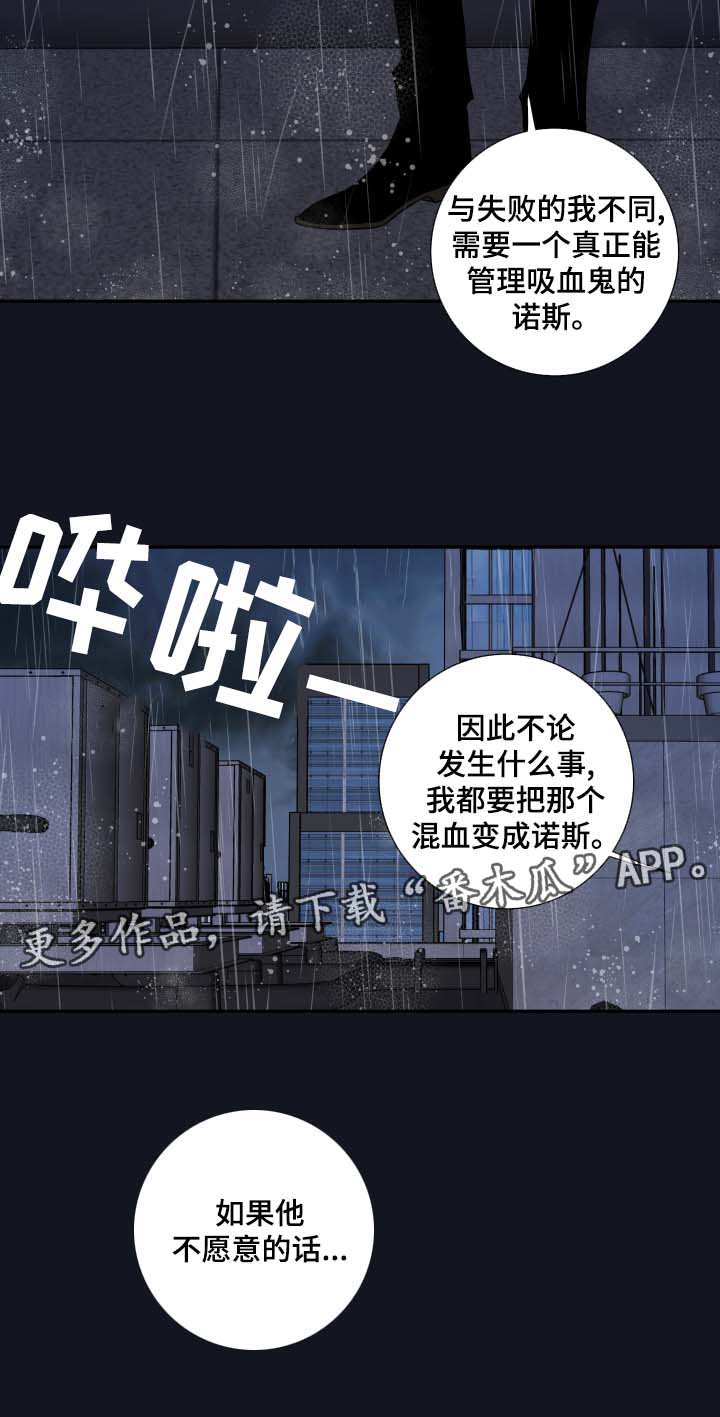 半血马价格是多少漫画,第54章：我来成为诺斯1图