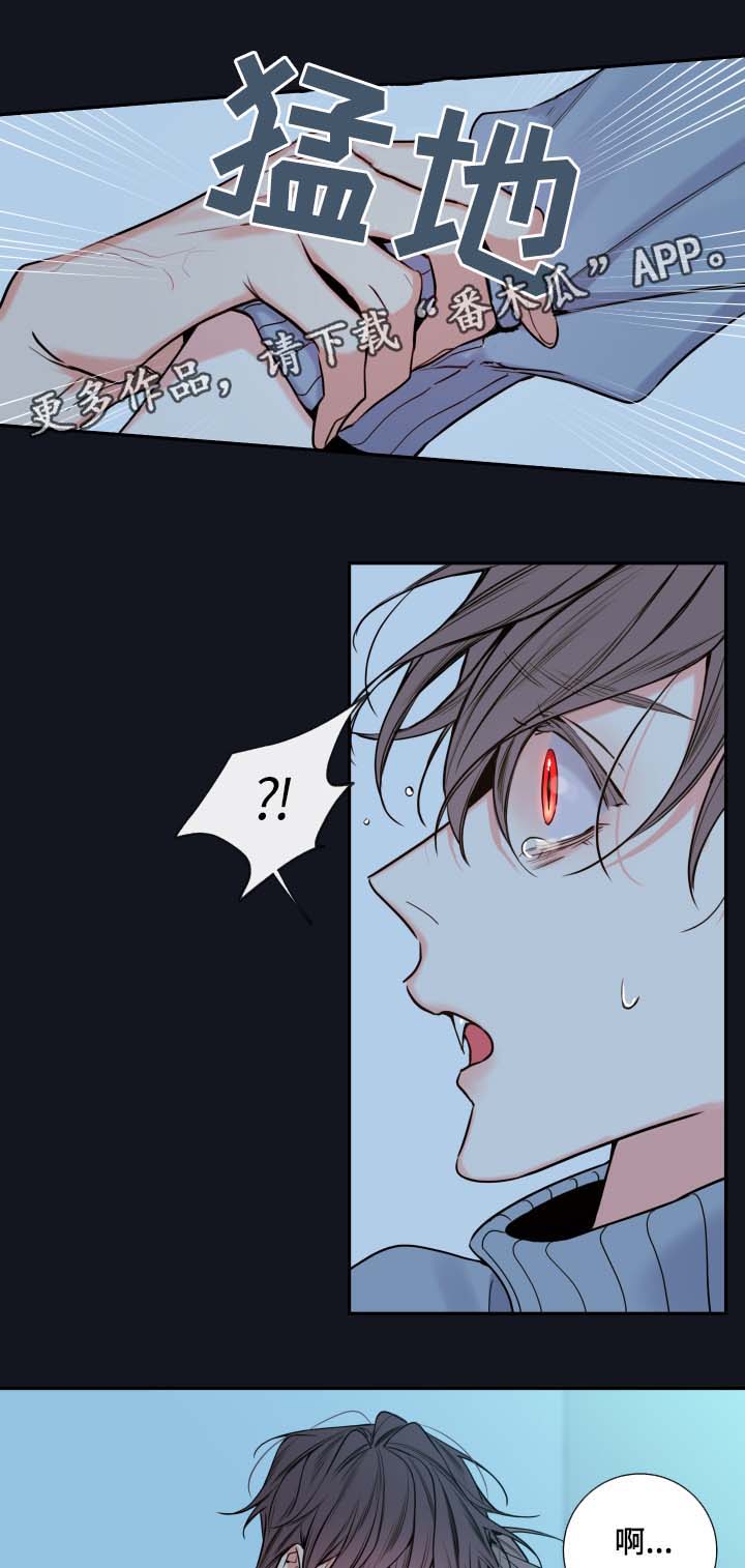 半血马和汗血马关系漫画,第60章：异常情况4图