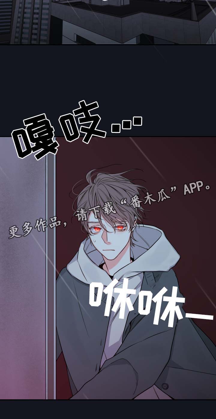 半血统金毛漫画,第52章：一模一样的人2图