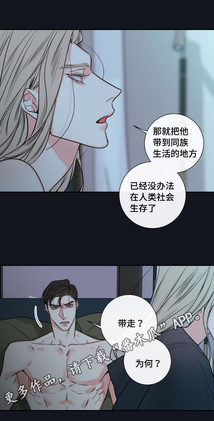 半吸血鬼的身份认同漫画,第41章：确认现状2图