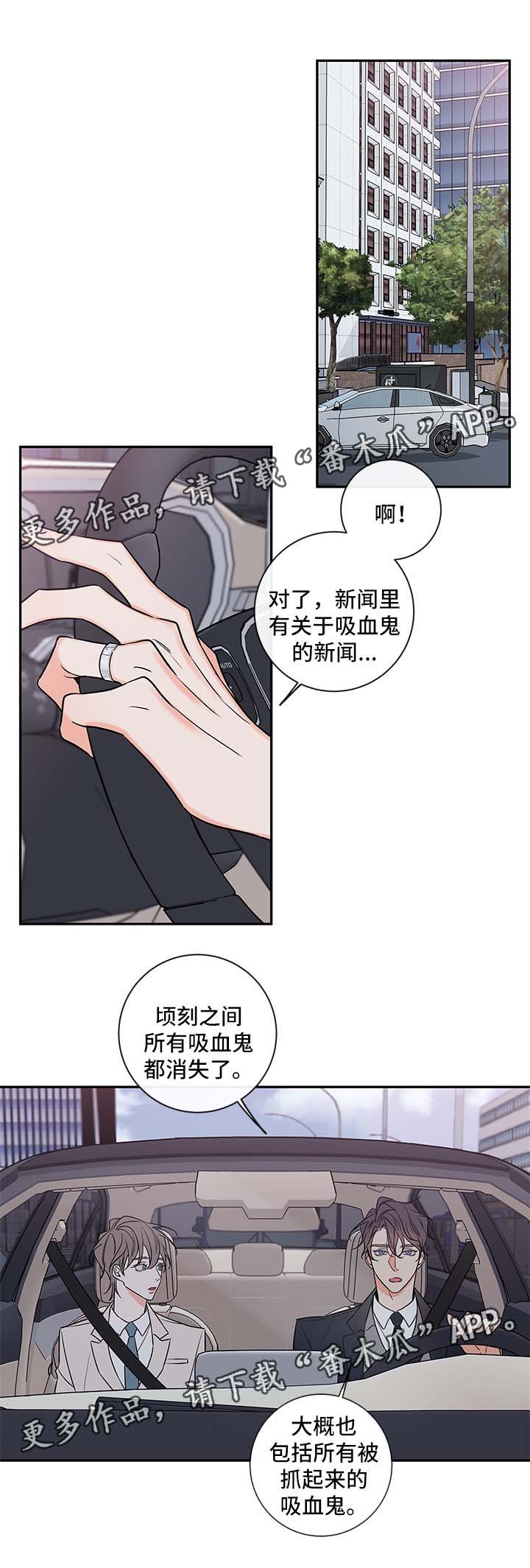 半血马价格是多少漫画,第88章：戒指3图