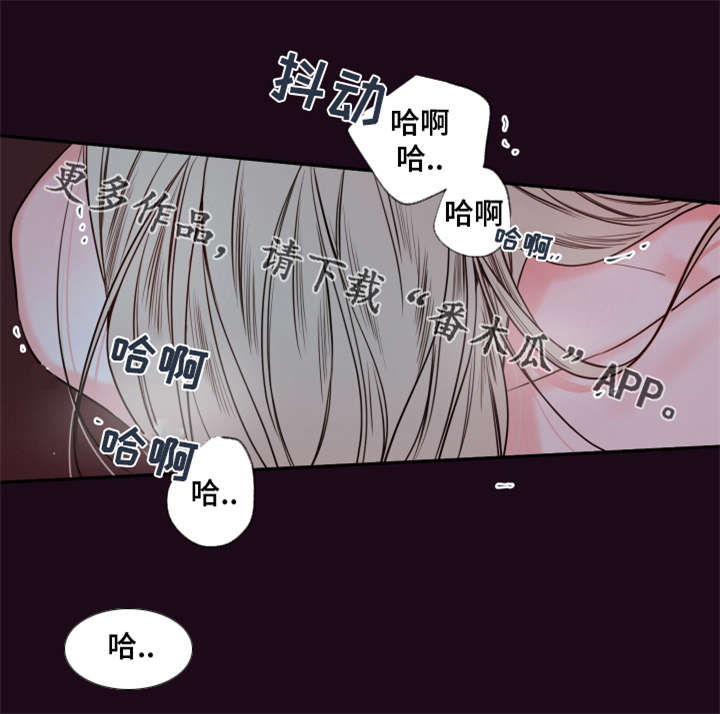 半吸血鬼的身份认同漫画,第40章：你这狗子2图