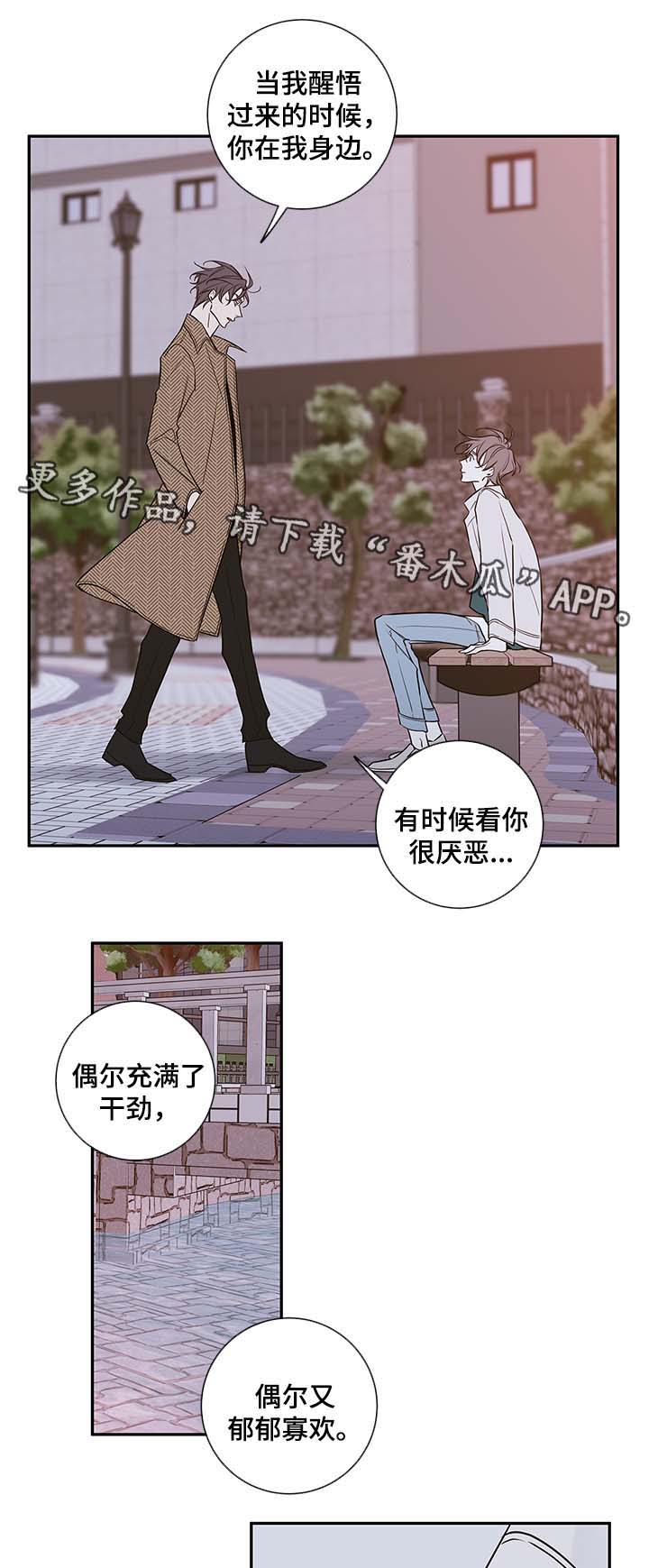 半血族漫画,第79章：我喜欢你，姜宇3图