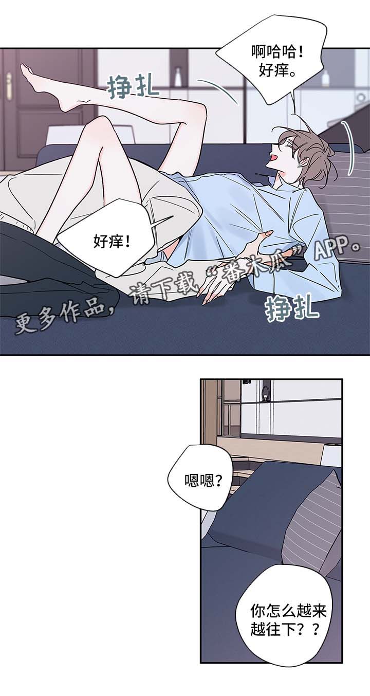 半血族漫画,第87章：回来上班4图
