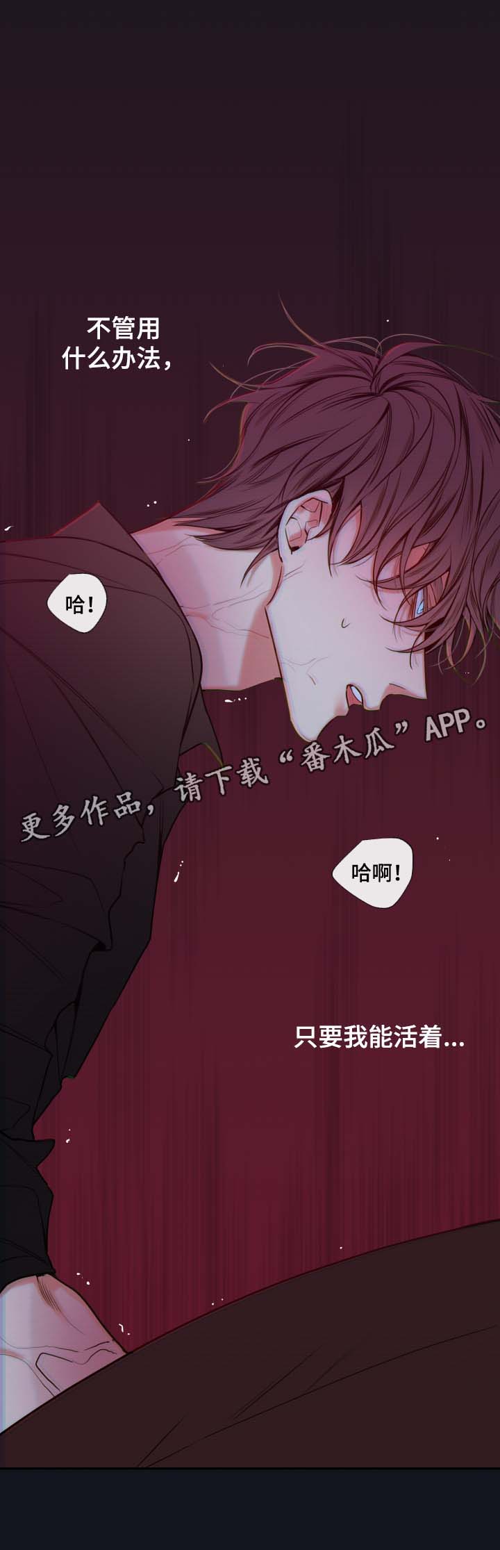 半夏漫画,第59章：赌一把5图