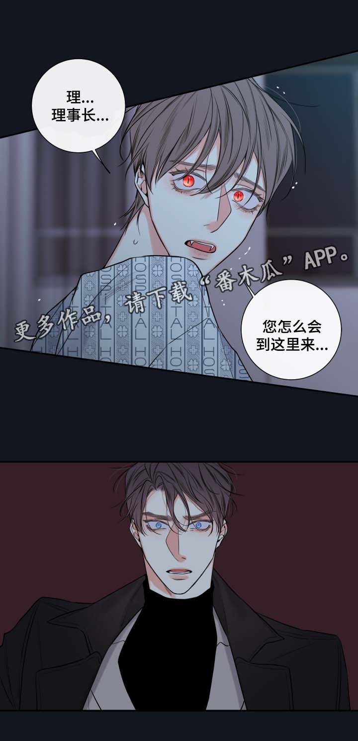 半血族漫画,第45章：必须找到你1图