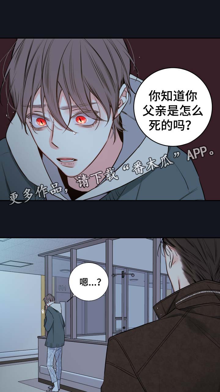 半夏漫画,第55章：父亲的死因3图