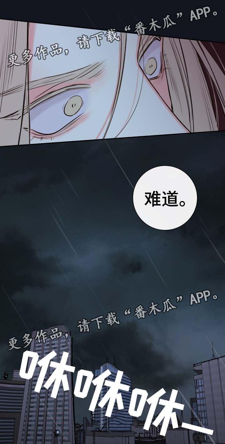 半血统金毛漫画,第52章：一模一样的人1图