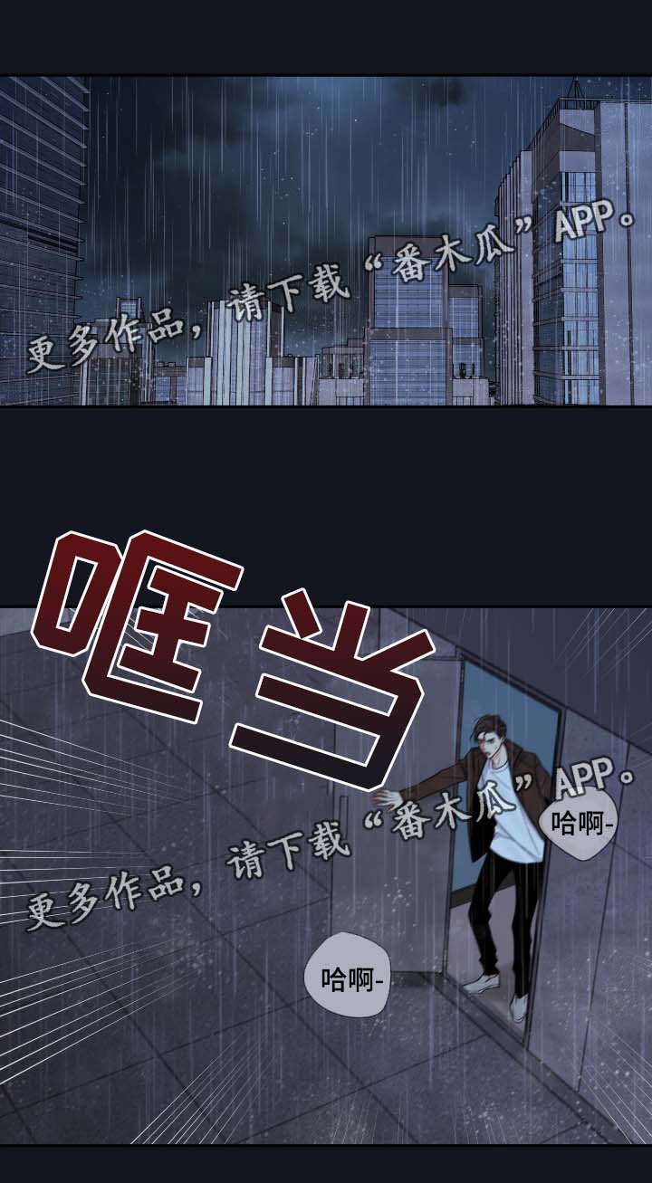 半夏漫画,第56章：来晚了1图