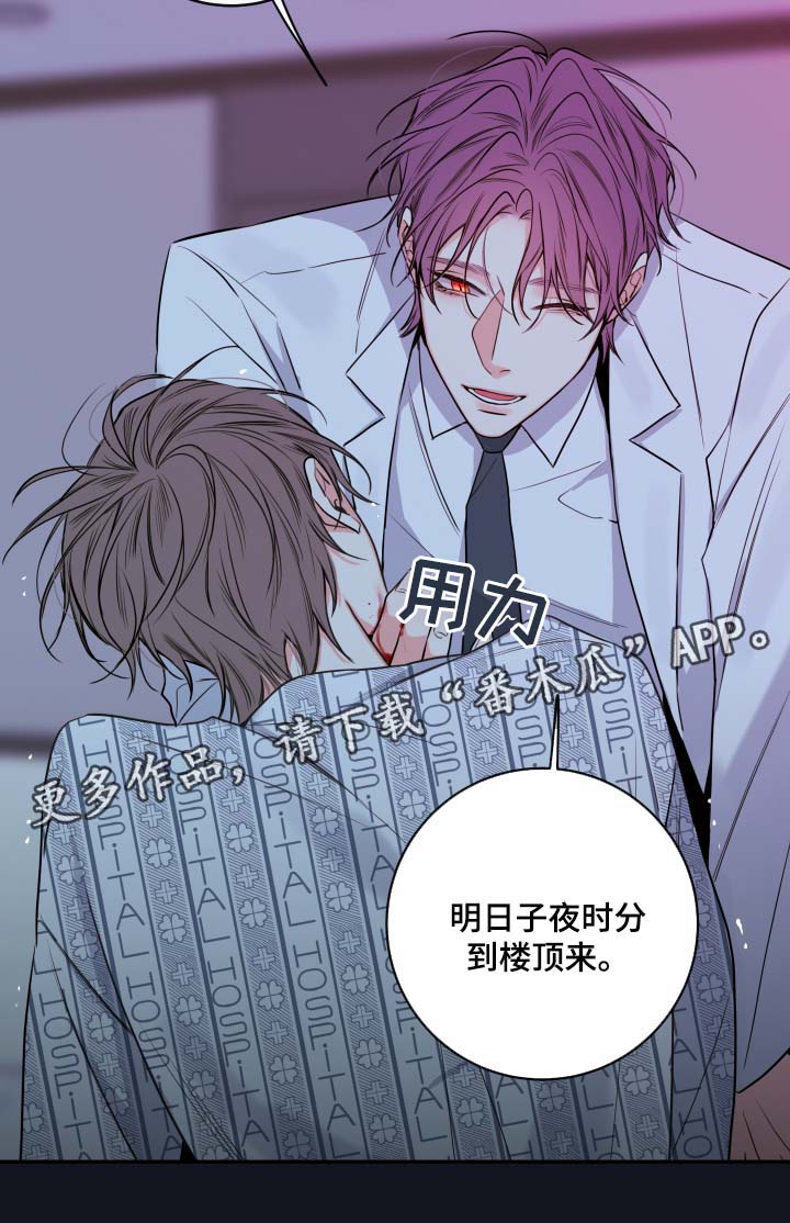 半血族漫画,第49章：医生4图