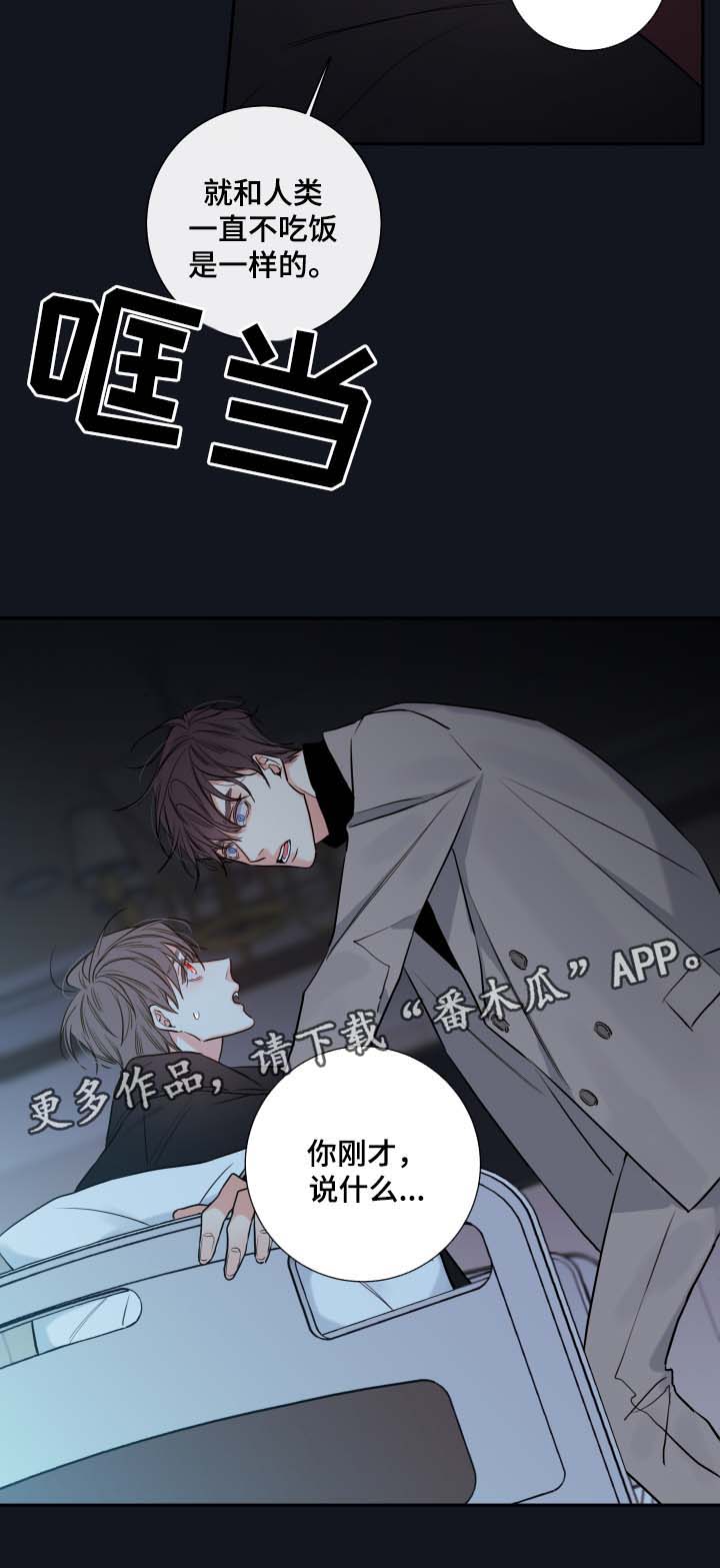 半血族漫画,第47章：解释5图