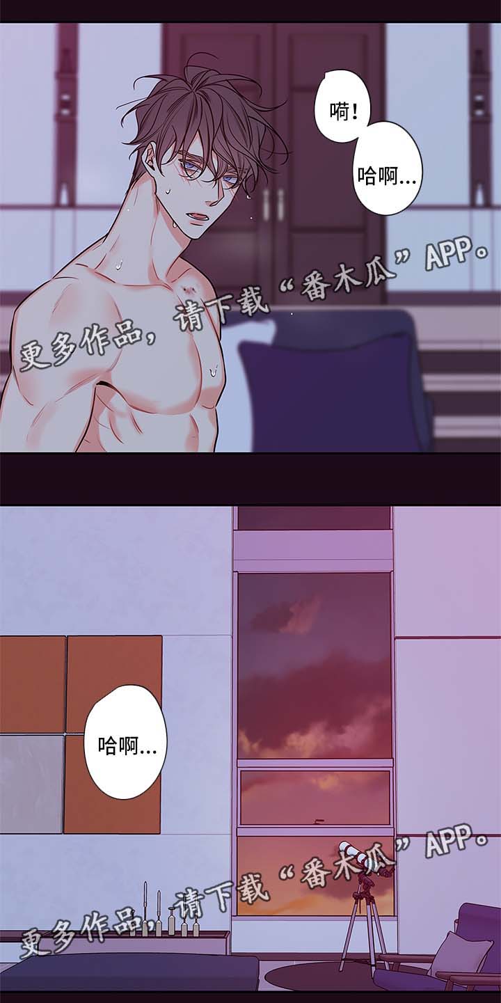 半血马和混血马的区别漫画,第85章：只能和我做3图