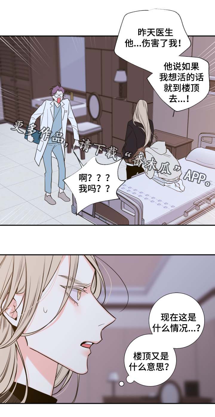 半血马运输费用漫画,第52章：一模一样的人3图