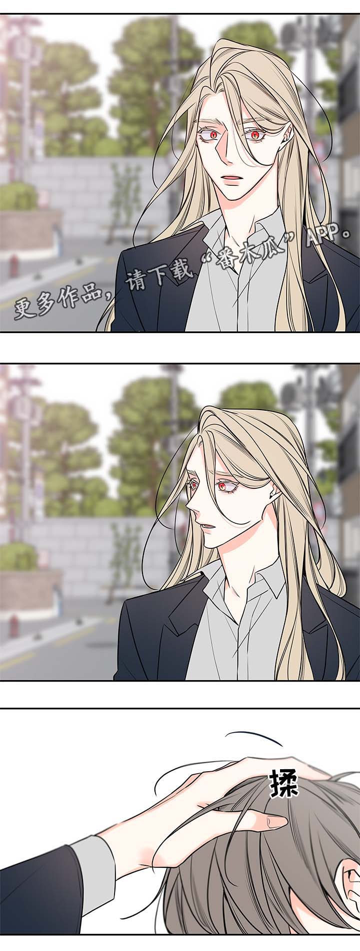 半血族漫画,第78章：尘埃落定1图