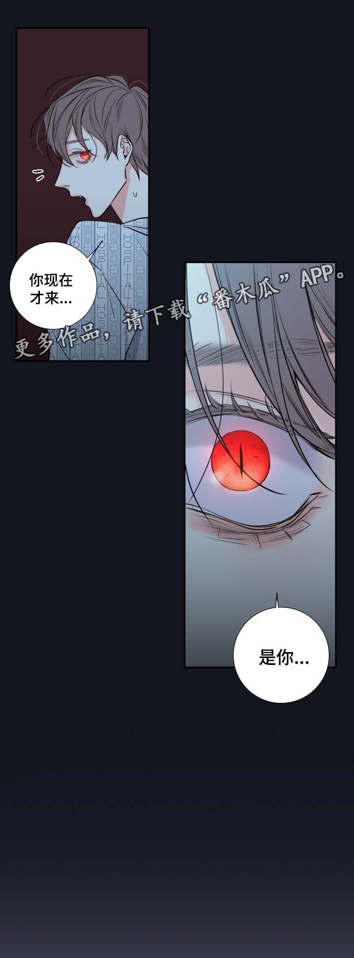 半吸血鬼的身份认同漫画,第44章：废弃医院3图