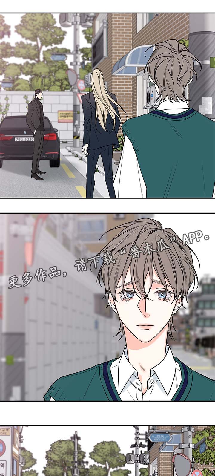 半血族漫画,第78章：尘埃落定2图