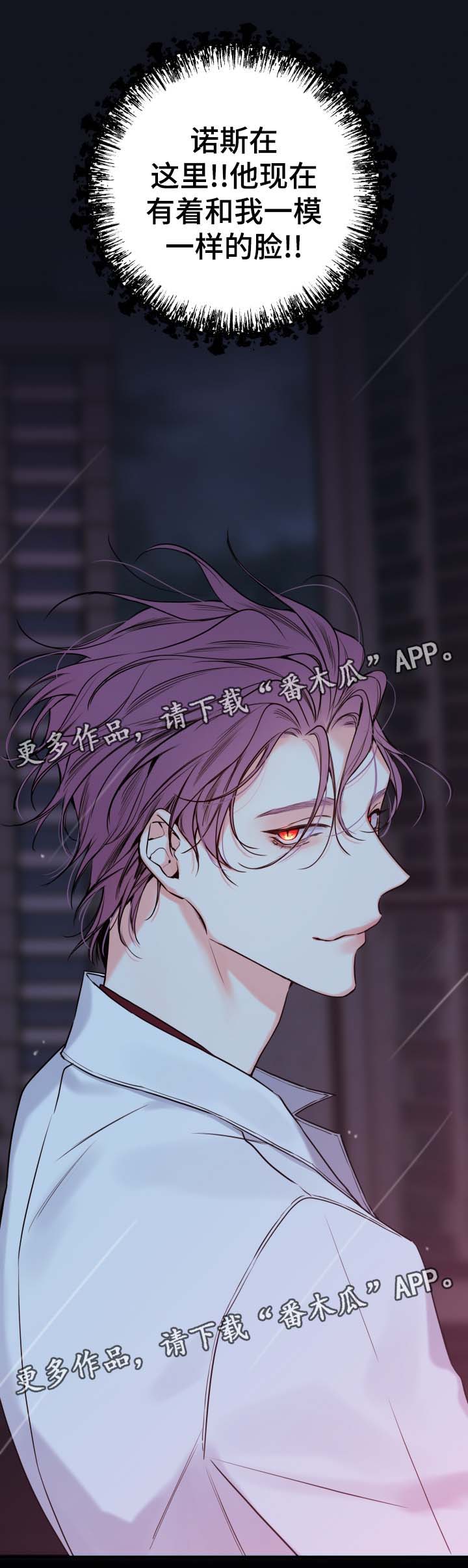 半血统金毛漫画,第52章：一模一样的人3图