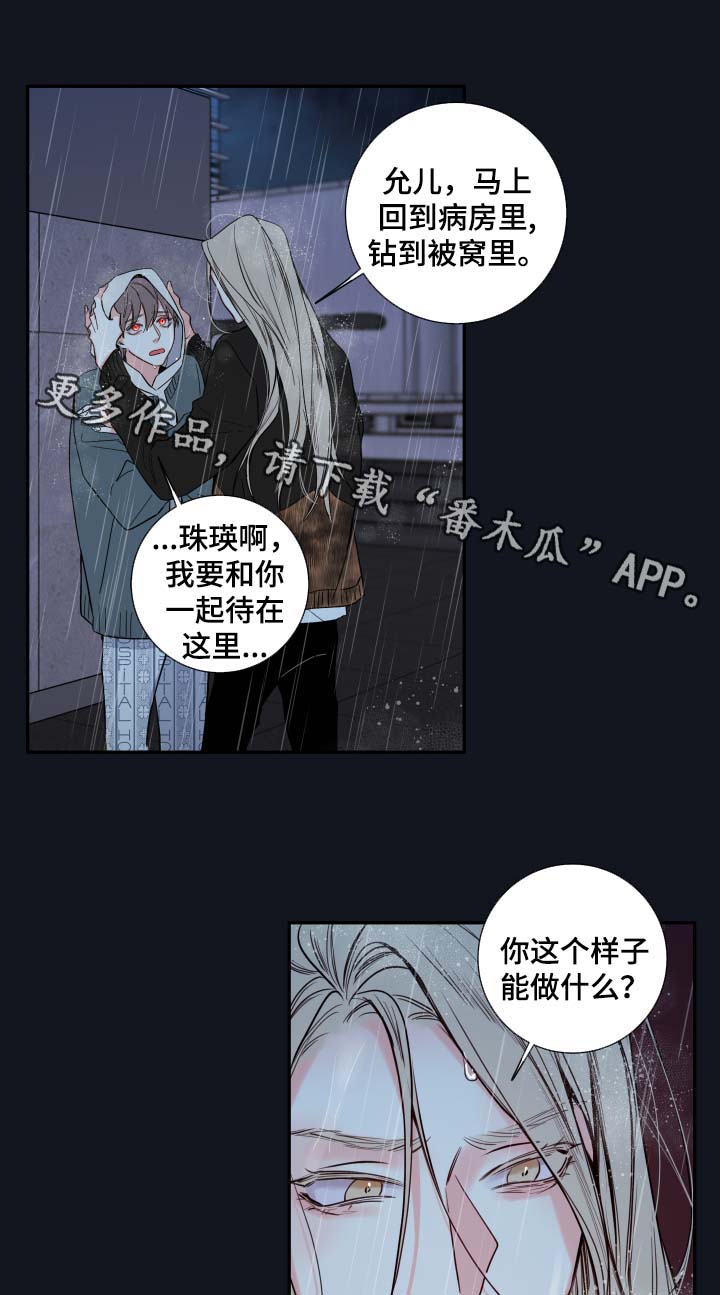 半血小马驹多少钱一匹漫画,第54章：我来成为诺斯1图