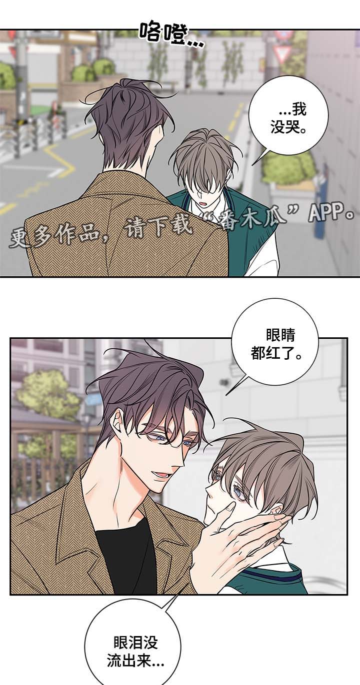 半血族漫画,第78章：尘埃落定4图