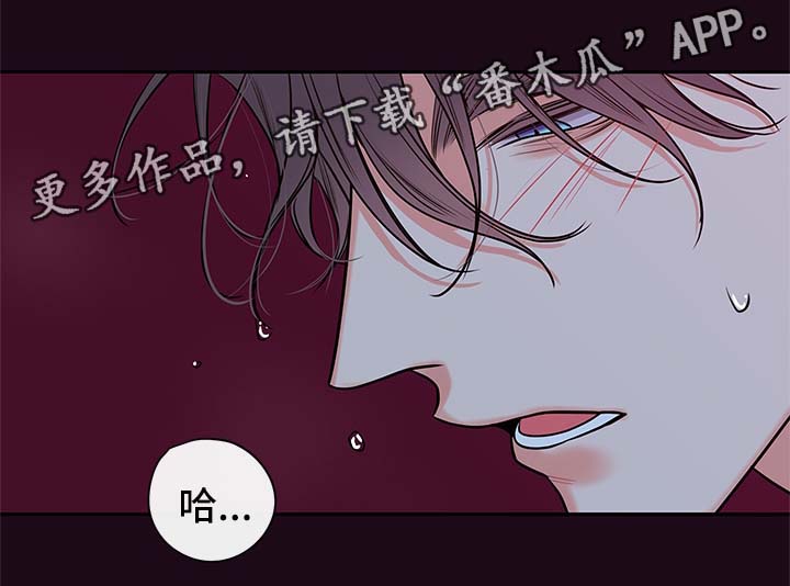 半血马和混血马的区别漫画,第85章：只能和我做2图