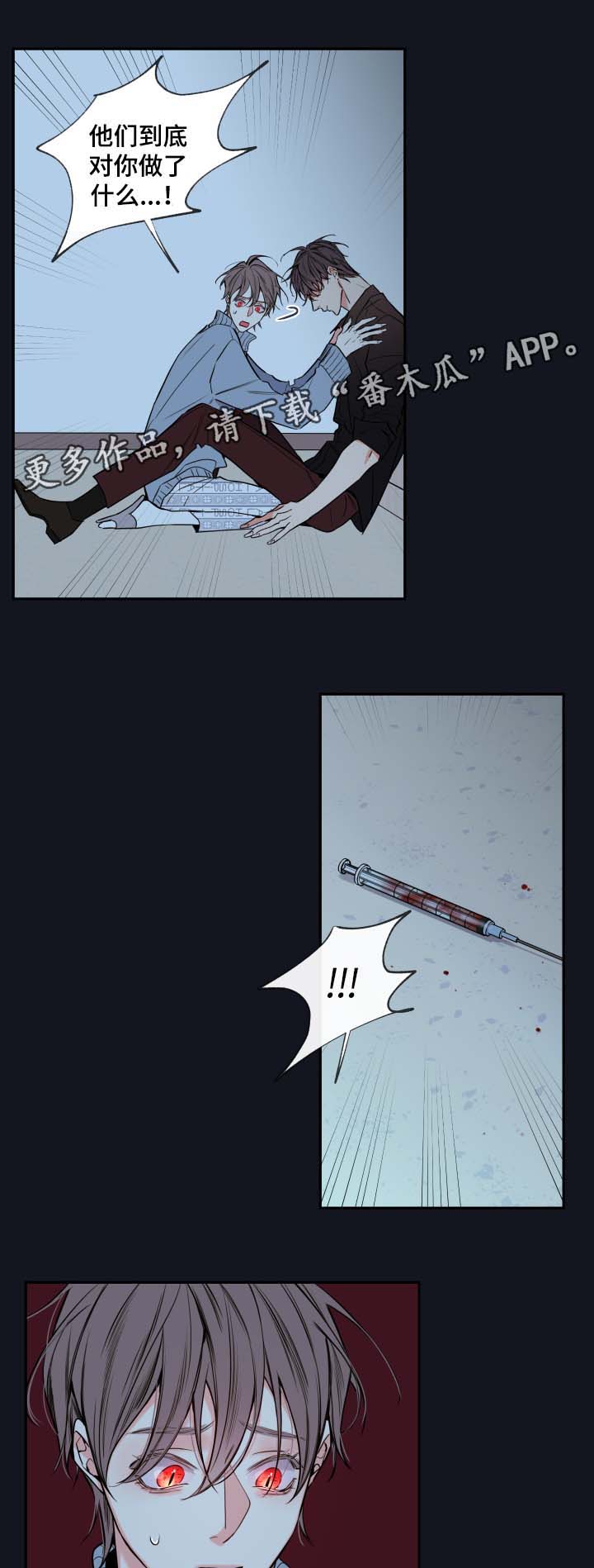 半血马和汗血马关系漫画,第60章：异常情况2图