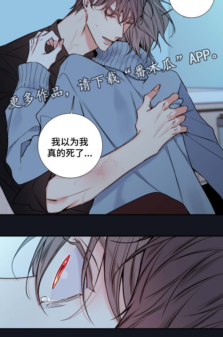 半血马和汗血马关系漫画,第60章：异常情况5图