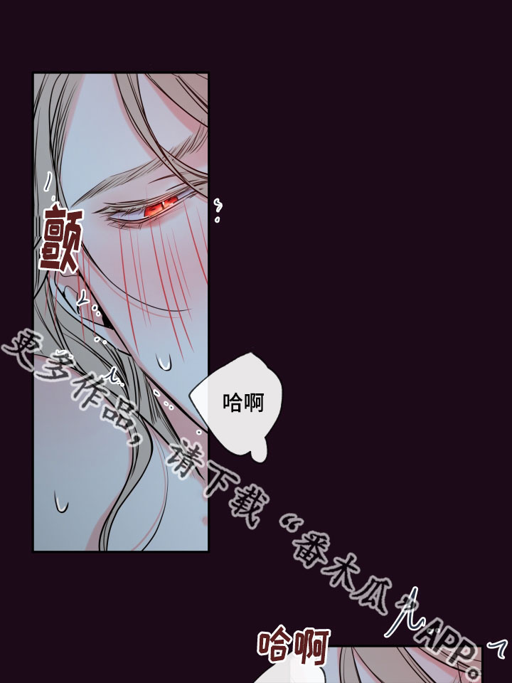 半巫妖吸血鬼漫画,第39章：夜很长5图