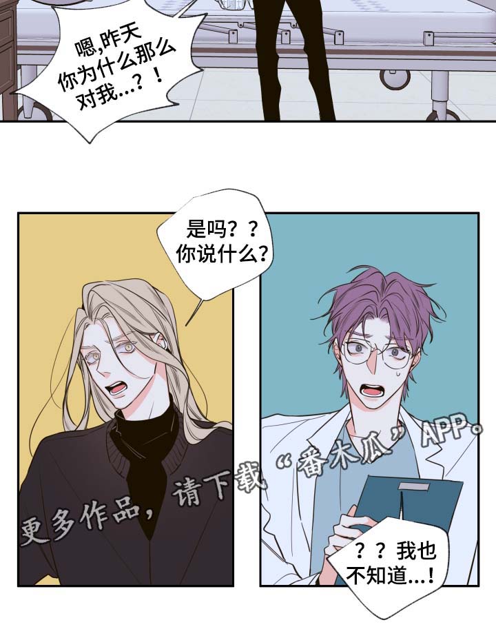 半血马运输费用漫画,第52章：一模一样的人2图