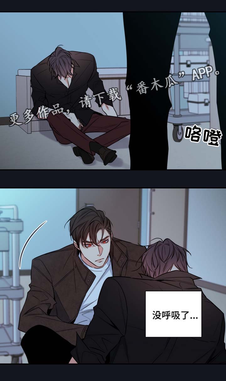 半血缘兄弟电影解说漫画,第59章：赌一把2图