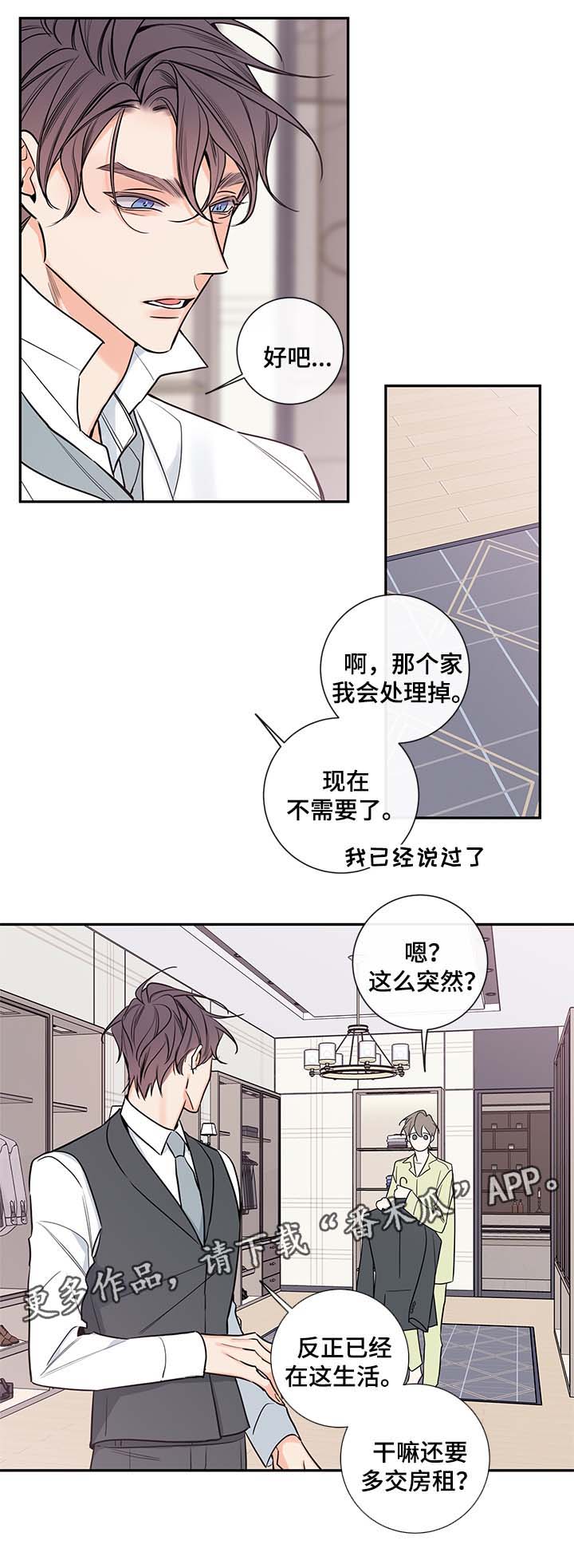 半血统金毛漫画,第69章：老婆3图