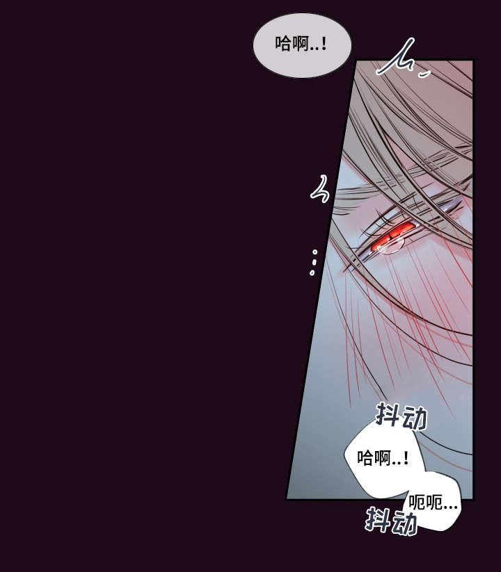 半吸血鬼的身份认同漫画,第40章：你这狗子3图