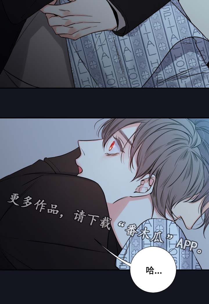 半巫妖吸血鬼漫画,第45章：必须找到你1图