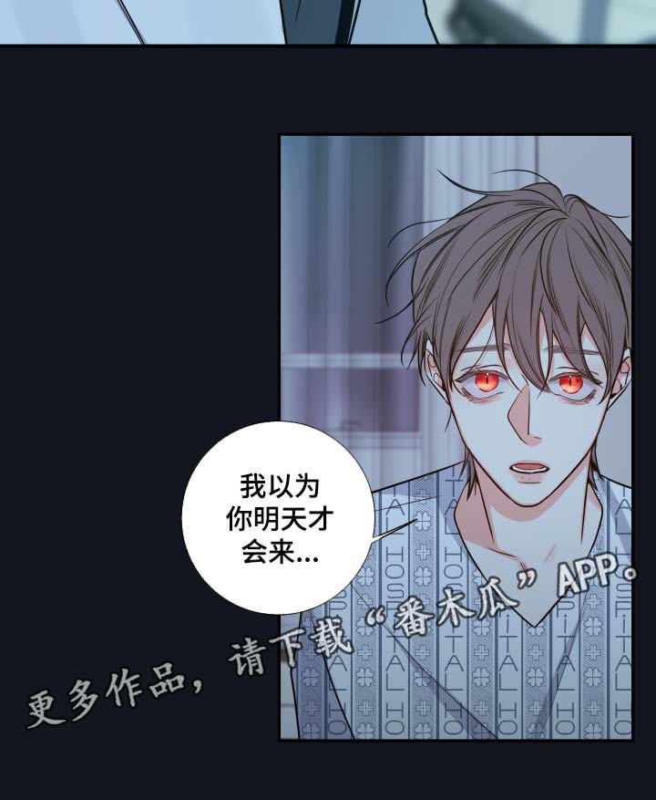 半血族漫画,第49章：医生2图
