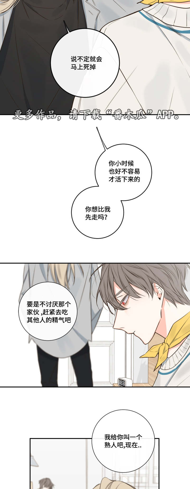 半血族漫画,第28章：复苏的吸血鬼之血5图