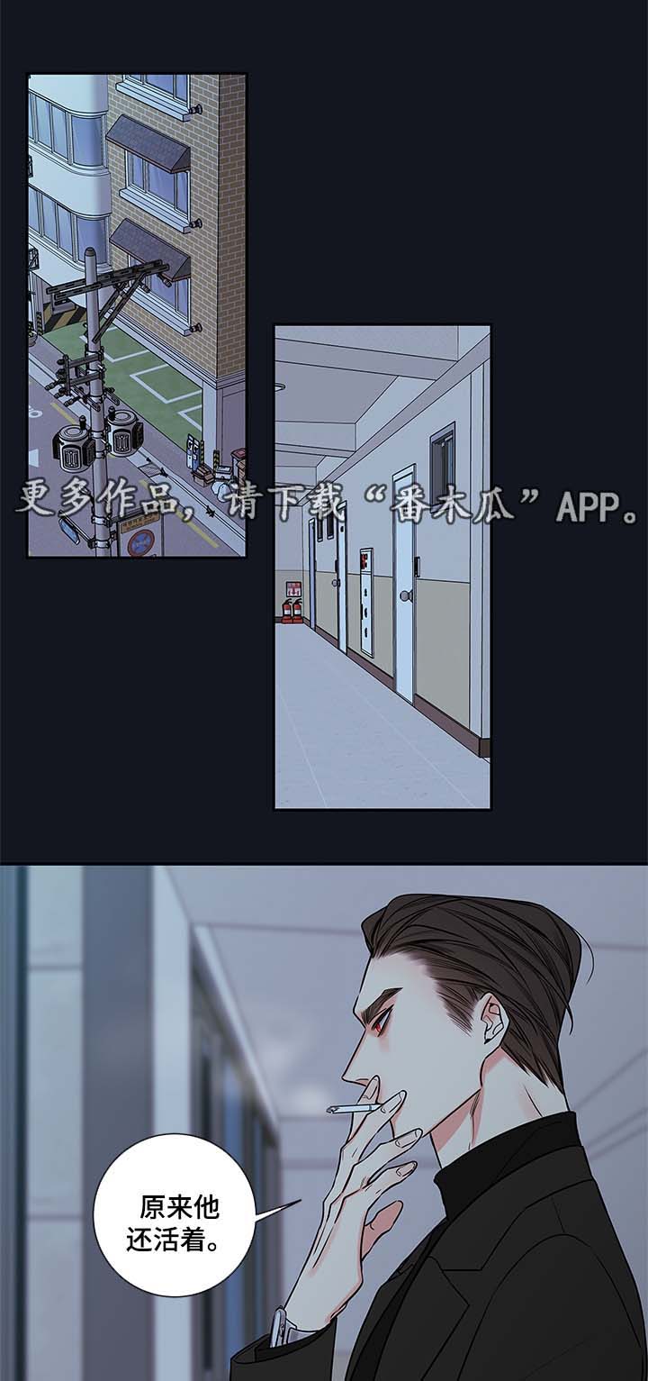 半仙游记漫画,第76章：像普通人一样活着3图