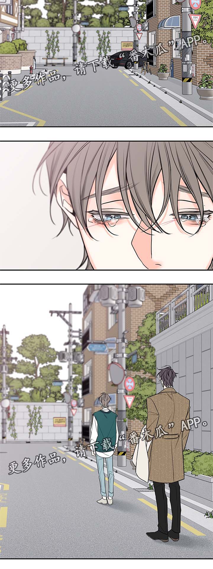 半血族漫画,第78章：尘埃落定3图