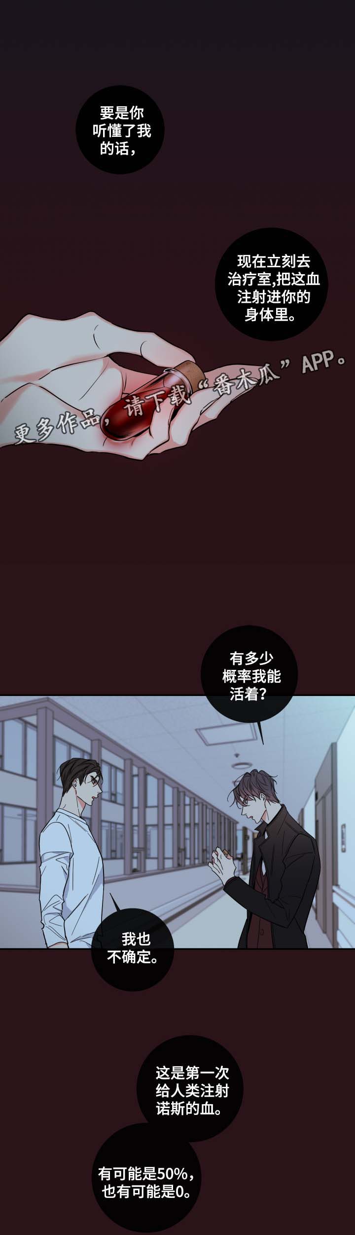 半夏漫画,第59章：赌一把4图