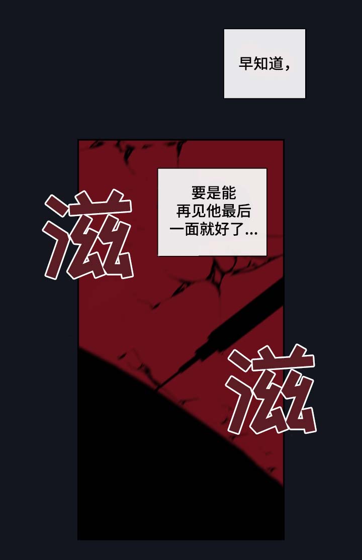 半夏漫画,第59章：赌一把2图