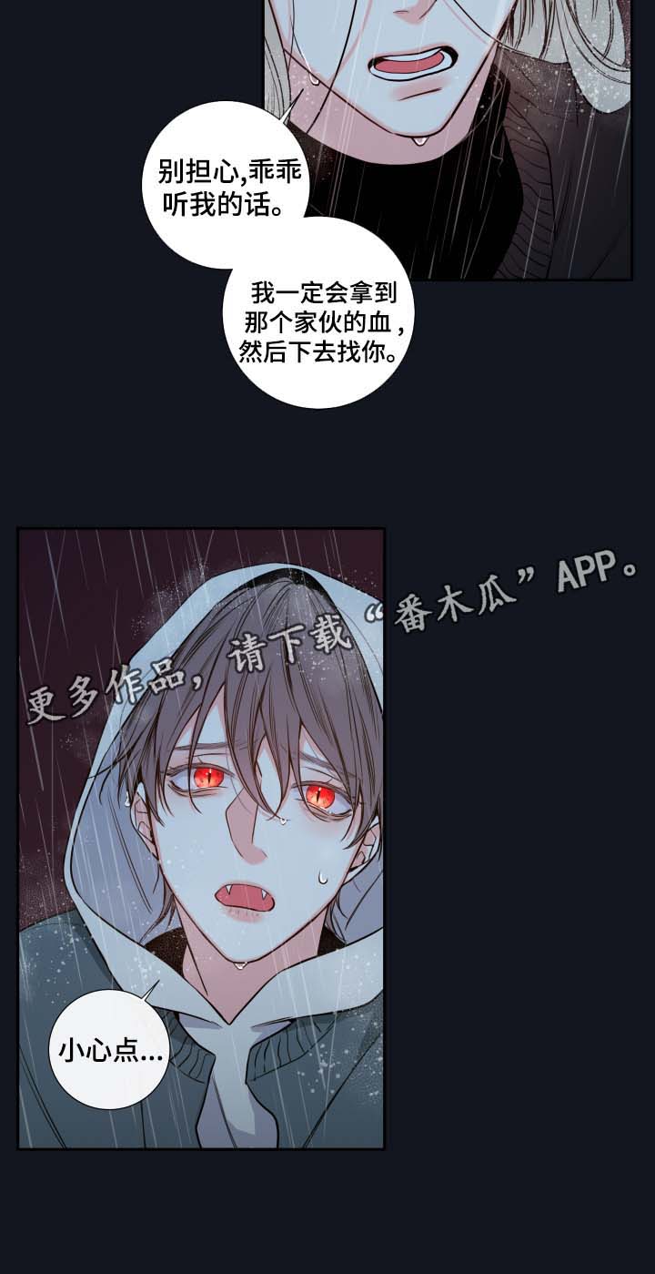 半血小马驹多少钱一匹漫画,第54章：我来成为诺斯2图