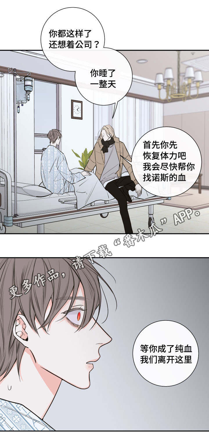 半吸血鬼会成为血仆吗漫画,第42章：离开3图