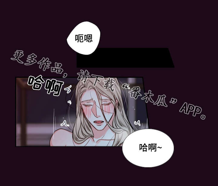 半吸血鬼的身份认同漫画,第40章：你这狗子2图