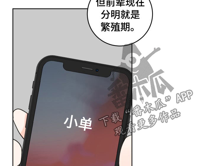 最差阿尔法漫画,第43章：为什么5图