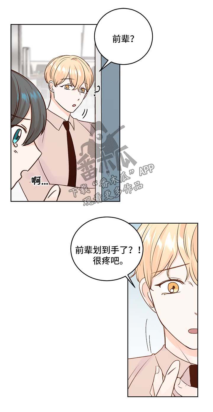 最差阿尔法漫画,第27章：身份4图
