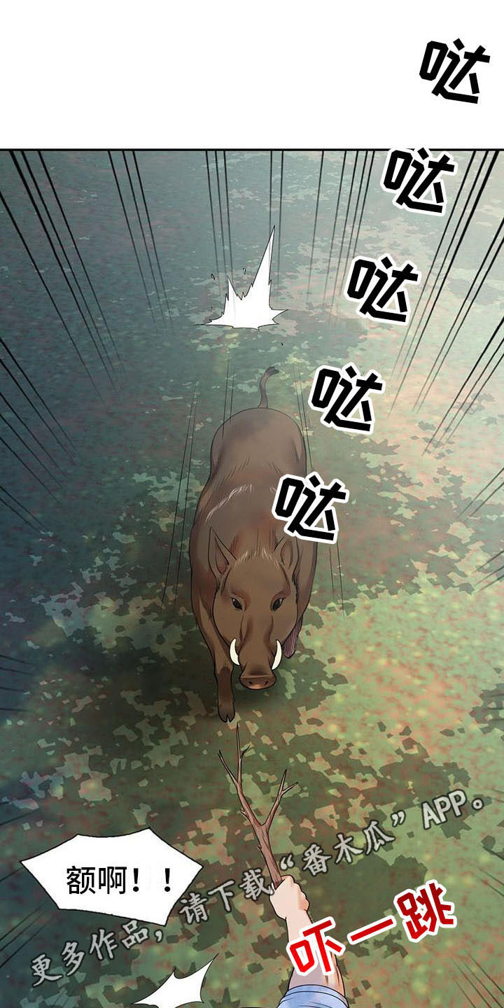 职业球员漫画,第8章：野猪5图