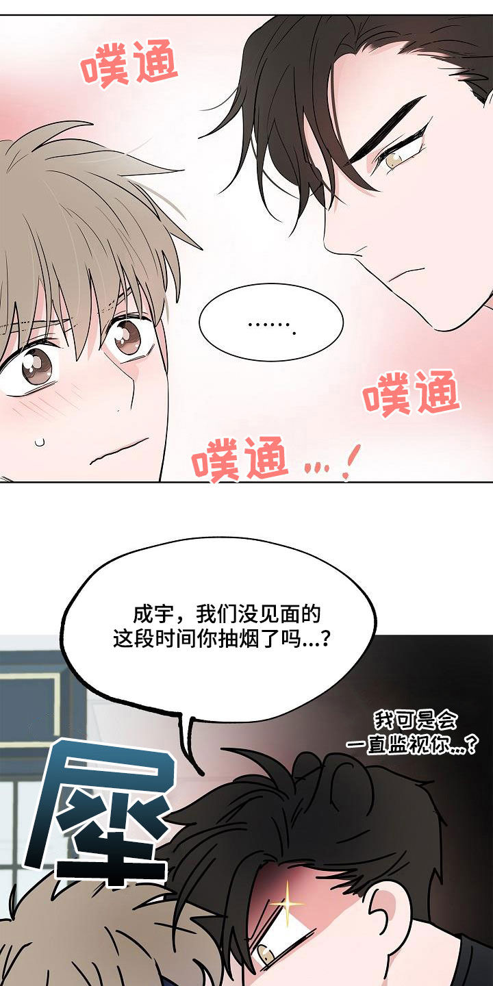 猫狗攻防战漫画,第56章：同居2图