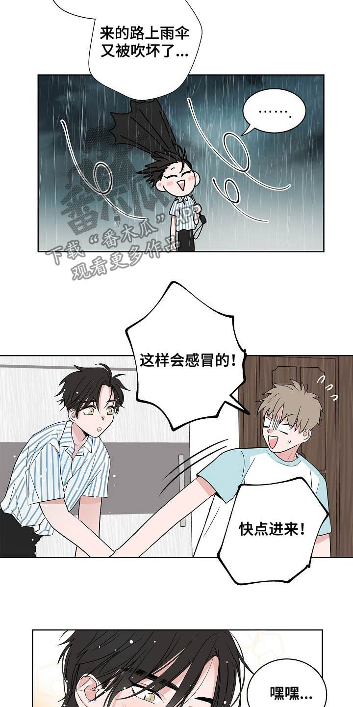 猫狗攻防战漫画,第37章：淋雨4图