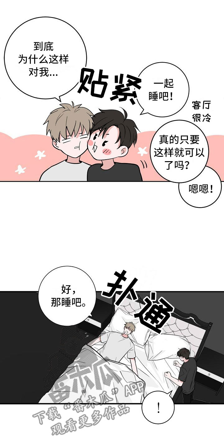 猫狗对战视频合集漫画,第8章：蹬鼻子上脸3图