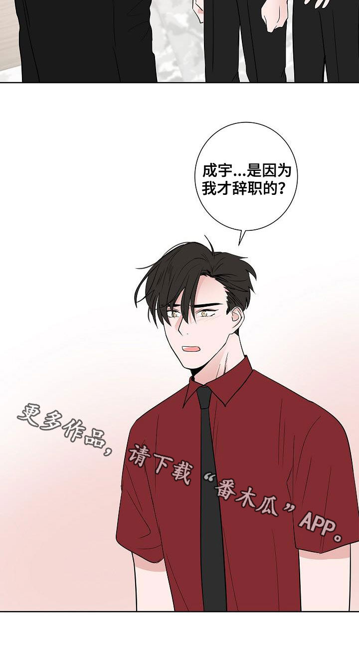 猫狗武林漫画,第49章：是因为我3图